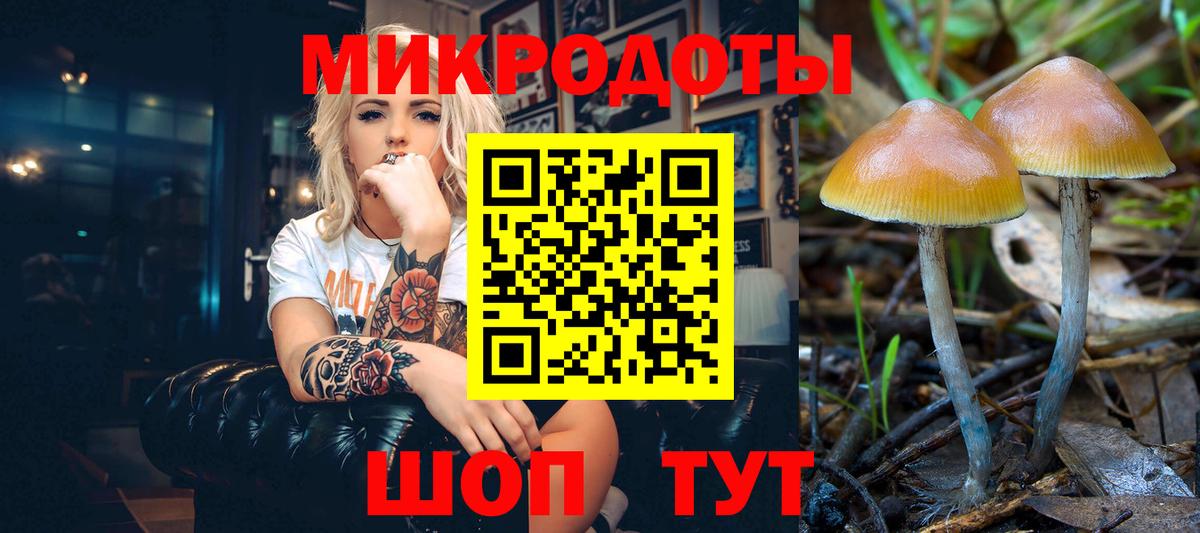 Галлюциногенные грибы Psilocybe  закладка  Светлоград  Вход с VPN 