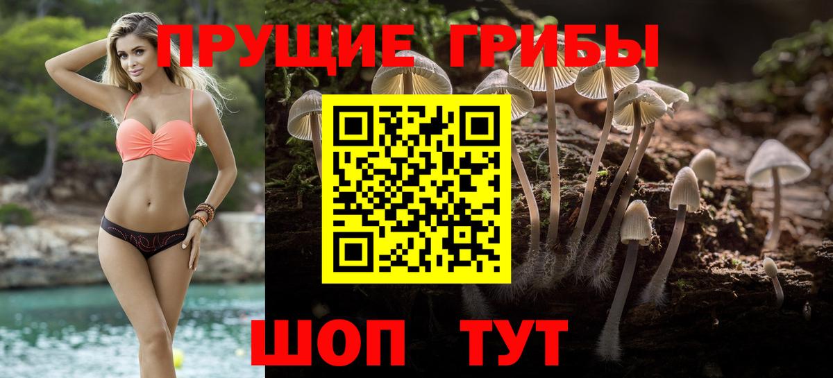 Галлюциногенные грибы Cubensis Светлоград
